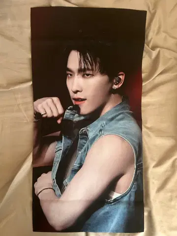 SEVENTEEN 세부치 디노 슬로건