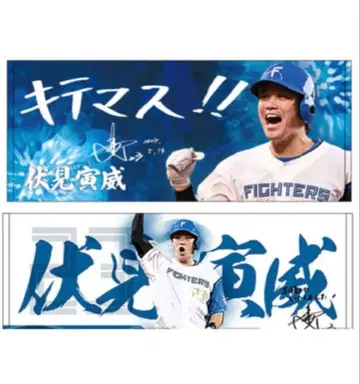 후시미 토라타케 히어로 타월 2종 세트