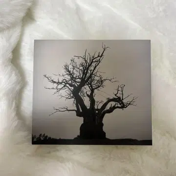 SEKAI NO OWARI 2010-2019