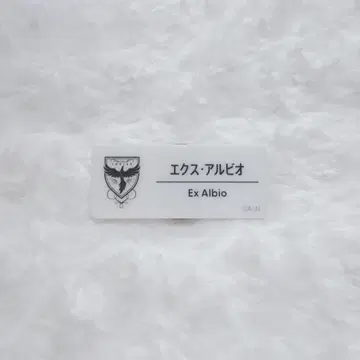 니지산지 페스티벌 네임 배지 엑스 알비오