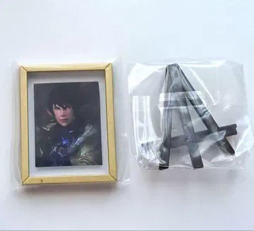 FF14 프레임 마그넷 아이메리크