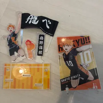 하이큐 히나타 쇼요 아크릴 스탠드 세트