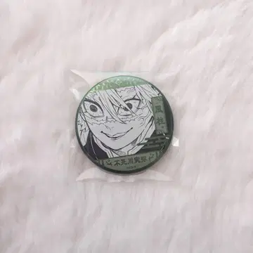 데코 컬렉션 캔뱃지 시나즈가와 사네미