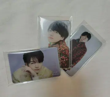 나니와단시 트레이딩 카드