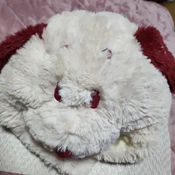 USJ 스누피 모자