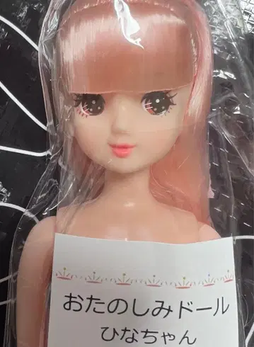 즐거운 인형 히나짱