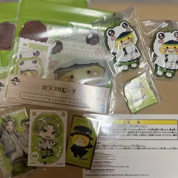 컬러풀 피치 시바