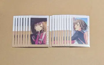 프로세카 시노노메 에나 24C 에피카 니고