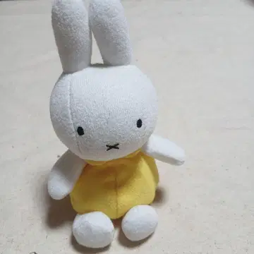 미피 화이트와 옐로우 컬러