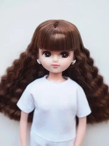 리카짱 캐슬 작은 가게 일본바시 모델 리카짱