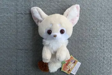 쵸콘과 여우 호론