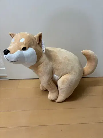 응치구 DOG 봉제 인형 시바견