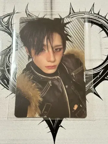 XLOV 하루 USA 한정판 사전 주문 혜택 트레이딩 카드 레어