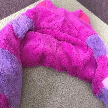 체셔 고양이 팬캡 도쿄 디즈니 리조트 한정판