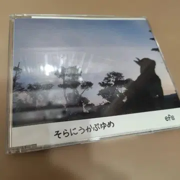 하늘에 떠오르는 꿈 / efs 동인