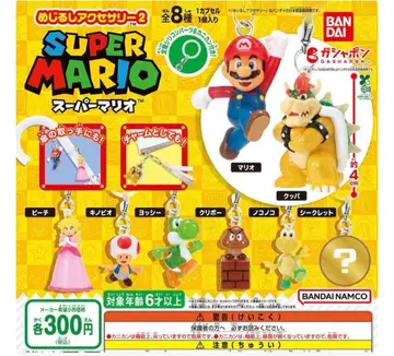 마리오 메지루시 액세서리 2