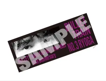 초특급 료가 팬미팅 2025 타월