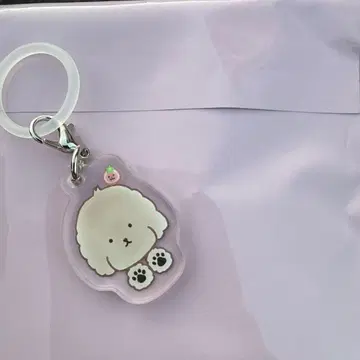 사쿠라자카46 랜덤 메지루시 참 엔도 리코