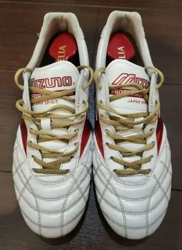 모렐리아 2 재팬 AG 한정 컬러 24.5cm