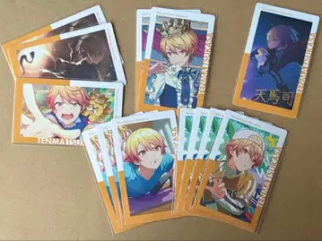 프로세카 에피카 epick card 츠카사 묶음 판매