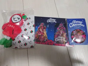 CHOIYAMA 봉제 인형 포토 카드 세트