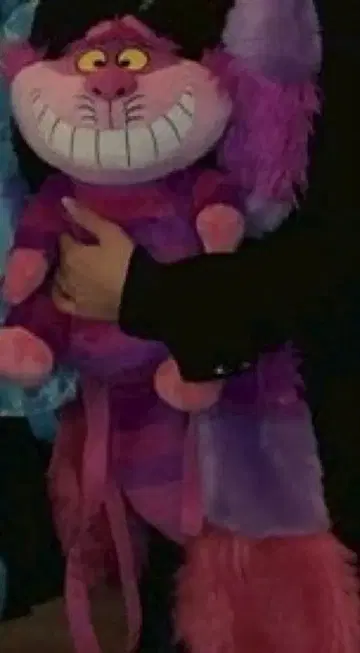 체셔 고양이 체셔 고양이 봉제 인형 백팩 백팩 디즈니