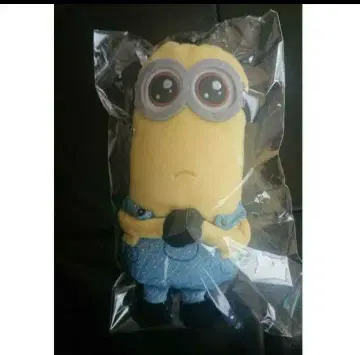 미니언즈 케빈 패스 케이스 미개봉 새상품 택 포함