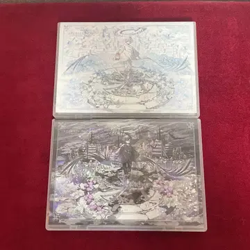 마후마후 LIVE DVD