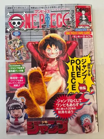 ONE PIECE magazine 원피스 매거진 20호 프로모 포함