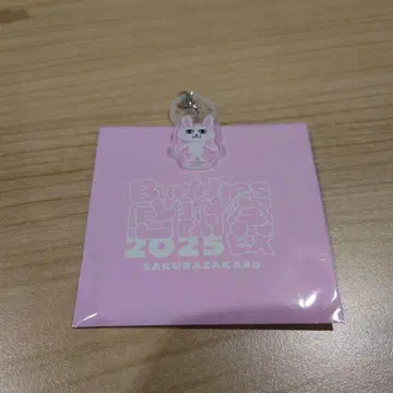 사쿠라자카46 Buddies 2025 메지루시 참 모리야 레이나