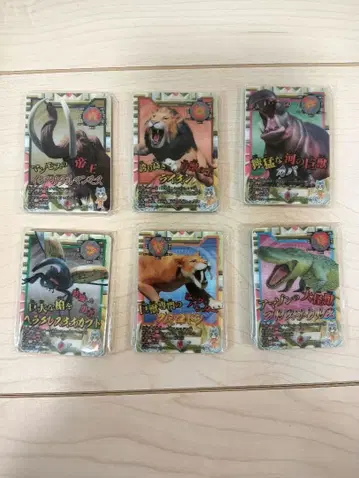 최강왕 도감 미니어처 카드 아크릴 6개 세트