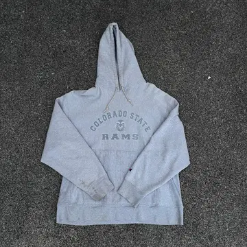 Champion 후드티 L 사이즈 그레이