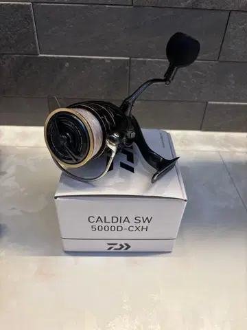 22 칼디아 SW 5000D-CXH