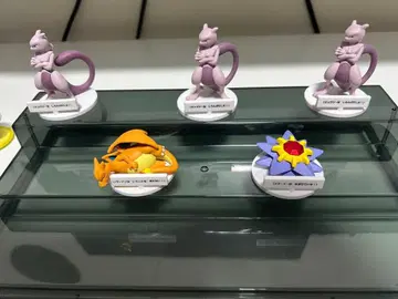 포켓몬 말을 안 들어! 5개 묶음 판매 12/23일까지 판매