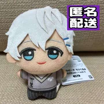 [ 익명 배송 ] SD 인형 컬러풀피치 히로