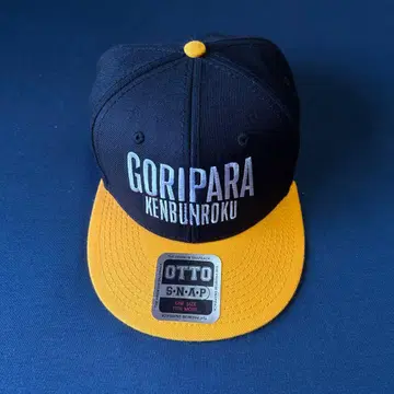 OTTO GORIPARA KENBUNROKU 고리파라 견문록 343 캡