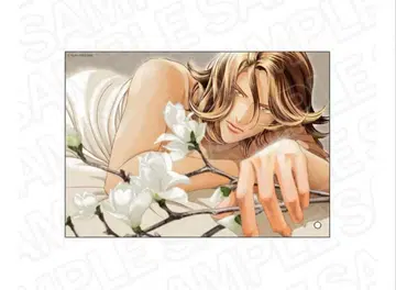 신타 타카시 봄을 안고 있었다 미니 아크릴 아트 코토 요지