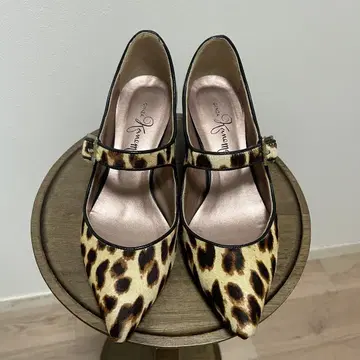 레어 카네마츠 마지막 레오파드 무늬 송치 펌프스