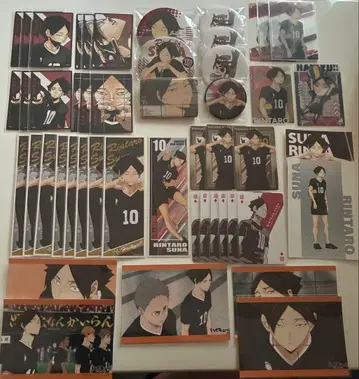 하이큐!! 스나 린타로 캔뱃지 카드 브로마이드 롱 스탠드