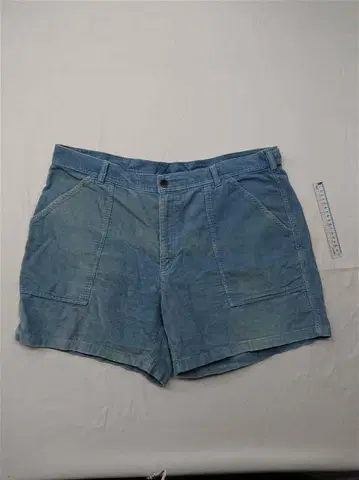 파타고니아 오가닉 코튼 숏팬츠 코듀로이 블루 남성용