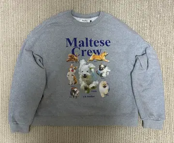 르세라핌 채원 착용 Wai Kei 멀티 크루 맨투맨 와이케이