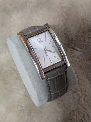 Calvin Klein 가동 중 캘빈클라인 쿼츠 스퀘어 남성용