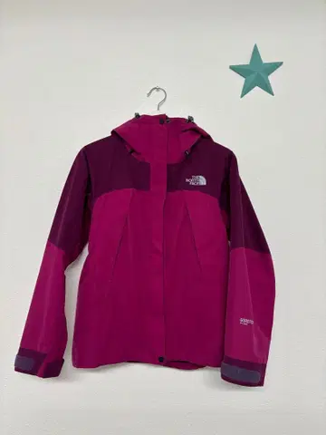 THE NORTH FACE 고어텍스 마운틴 후드티 핑크