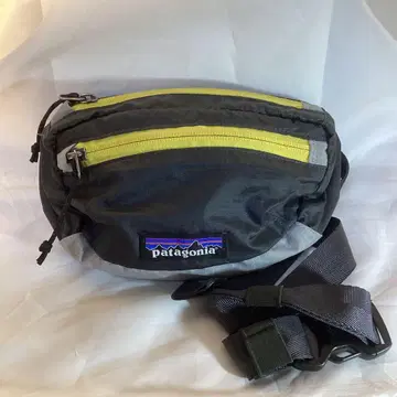 파타고니아 라이트웨이트 미니 힙 바디 백