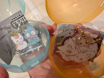 [ 캡슐 토이 ] 나츠메 우인장 산리오 여름 나츠메 냥코 선생님