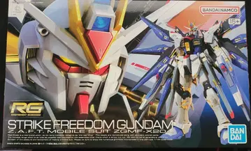 RG 스트라이크 프리덤 건담