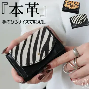 안티카 천연 가죽 송치 느낌 컴팩트 지갑 제브라 새상품