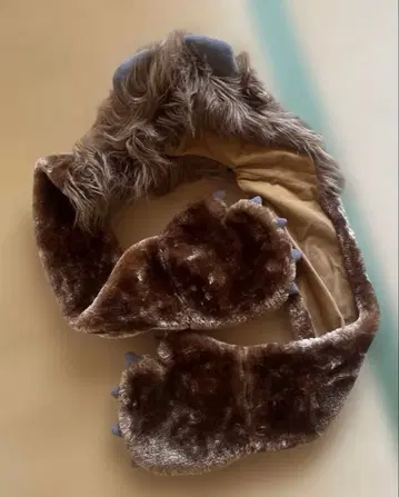 디즈니랜드 팬캡 미녀와 야수