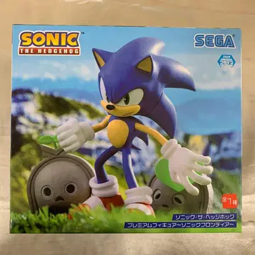 소닉 더 헤지혹 & 코코 ~소닉 프론티어~