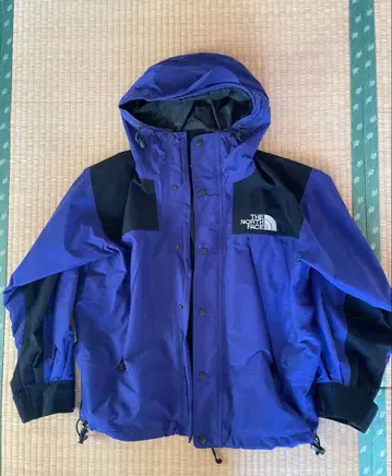 THE NORTH FACE GORE-TEX 보라색 마운틴 파카